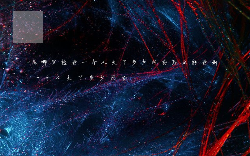 在哪里检查一个人欠了多少网贷(怎么能查到一个人欠了多少网贷)
