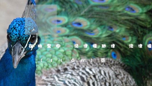 在哪里申請法律援助律師(法律援助律師怎么聯(lián)系)