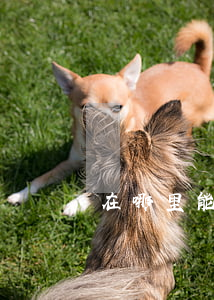 在哪里能快速借到錢(在哪里能快速借到錢)