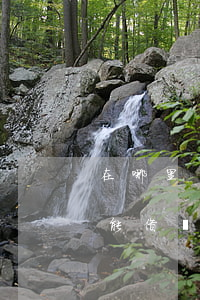 在哪里負債逾期可以貸款(貸款逾期了哪里還能借錢)
