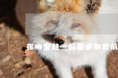 在哪里起訴前妻逾期款(前任欠款可以起訴嗎)
