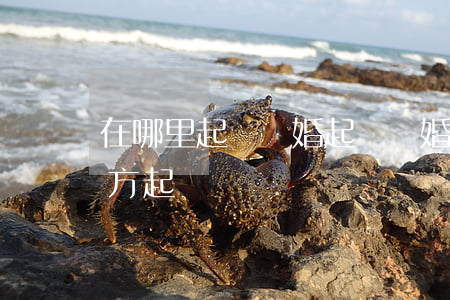 在哪里起訴離婚(起訴離婚在哪個(gè)地方起訴)