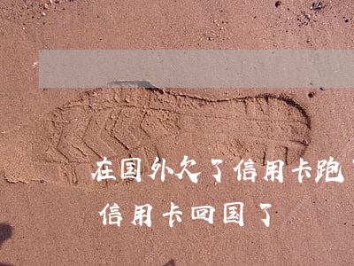 在国外欠了信用卡跑了,回国会有事吗?（欠瑞典信用卡回国了）