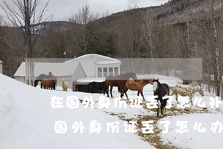 在国外身份证丢了怎么补办?需要什么手续?(在国外身份证丢了怎么办有护照可以回国?)