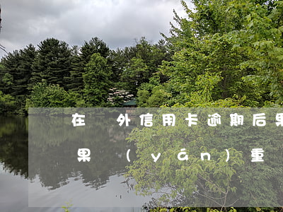 在國外信用卡逾期后果(在國外信用卡逾期后果嚴(yán)重嗎)