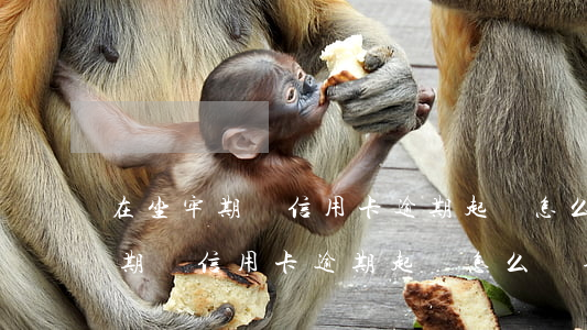 在坐牢期間信用卡逾期起訴怎么辦-在坐牢期間信用卡逾期起訴怎么辦理