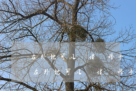 在外地可以辦理離婚手續(xù)嗎(外地人在外地可以辦理離婚手續(xù)嗎)