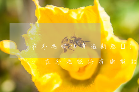 在外地征信有逾期能補(bǔ)辦身份證嗎-在外地征信有逾期能補(bǔ)辦身份證嗎