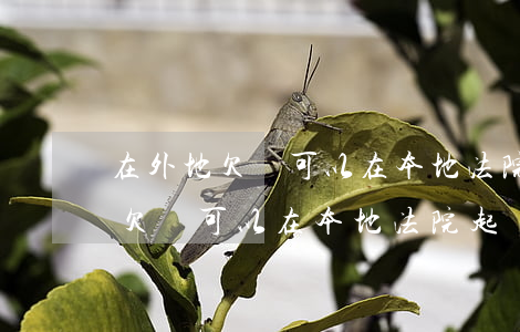 在外地欠錢可以在本地法院起訴嗎-在外地欠錢可以在本地法院起訴嗎怎么起訴