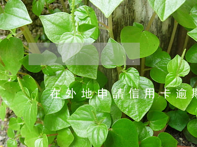 在外地申請信用卡逾期(當前逾期申請信用卡)