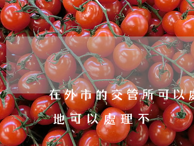 在外市的交管所可以處理違法嗎(交通違章外地可以處理不)