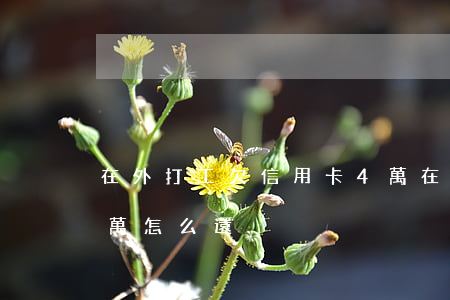 在外打工欠信用卡4萬(在外打工欠信用卡4萬怎么還)