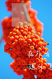 在外省交通违法可以回本市处理吗(外省交通违法怎么处理)