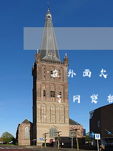 在外面欠了网贷被判刑了怎么办-在外面欠了网贷被判刑了怎么办呢