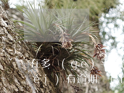 在多個(gè)平臺(tái)欠錢沒(méi)有逾期沒(méi)事吧-在多個(gè)平臺(tái)欠錢沒(méi)有逾期沒(méi)事吧怎么辦