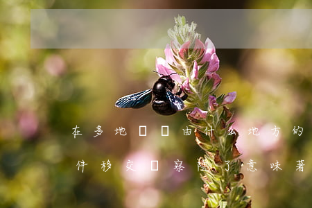 在多地盜竊由什么地方的檢察院起訴(盜竊案件移交檢察院了意味著什么)