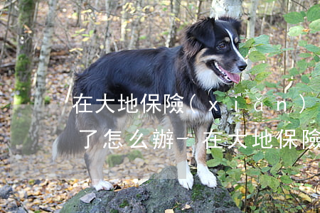 在大地保險(xiǎn)貸款逾期了被起訴了怎么辦-在大地保險(xiǎn)貸款逾期了被起訴了怎么辦呢