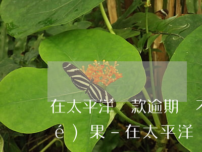在太平洋貸款逾期還不上會是什么結(jié)果-在太平洋貸款逾期還不上會是什么結(jié)果呢