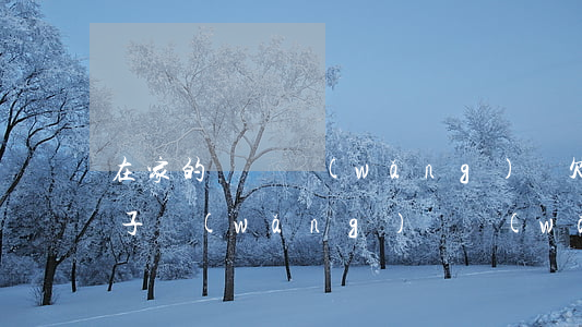 在家的寶媽網(wǎng)賭欠貸怎么辦(孩子網(wǎng)賭網(wǎng)貸怎么辦)