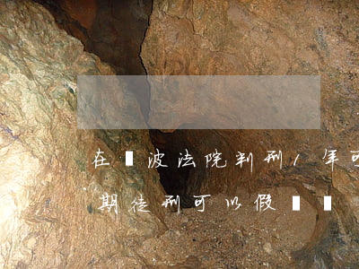 在寧波法院判刑1年可以假釋嗎(判處一年有期徒刑可以假釋嗎)