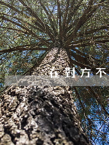 在對方不同意的情況下怎么離婚