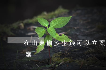在山東偷多少錢可以立案(多少錢被偷可以立案)
