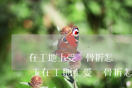在工地上受傷骨折怎樣賠償(臨時(shí)工在工地上受傷骨折怎樣賠償)