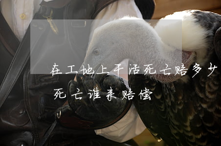 在工地上干活死亡赔多少钱(在工地干活意外死亡谁来赔偿)