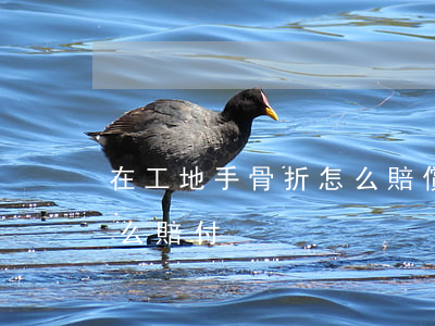 在工地手骨折怎么賠償(工地工人輕微骨折怎么賠付)