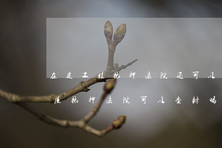 在建工程抵押法院还可以查封吗(民间借款房屋抵押法院可以查封吗)