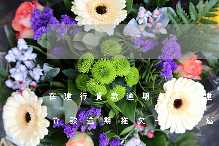 在建行貸款逾期怎么辦(建設(shè)銀行貸款逾期拖欠一個月還是被起訴了)