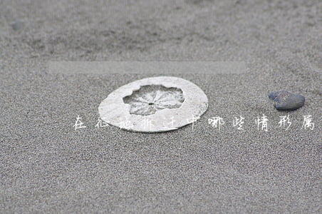 在征地拆迁中,哪些情形属于商业用地