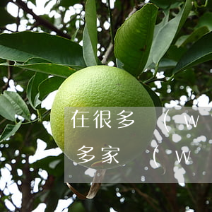 在很多網(wǎng)貸還不起都是逾期(十多家網(wǎng)貸逾期還不了)
