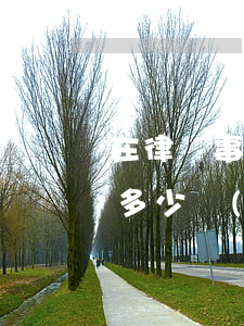 在律師事務(wù)所上班一個(gè)月多少錢(qián)?(普通律師一般工作多少錢(qián)一個(gè)月)