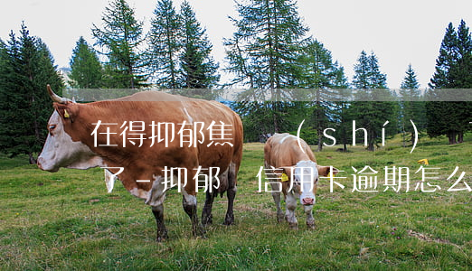 在得抑郁焦慮時(shí)辦了信用卡逾期了-抑郁癥信用卡逾期怎么處理