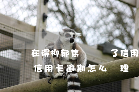 在得抑郁焦慮時辦了信用卡逾期了-抑郁癥信用卡逾期怎么處理