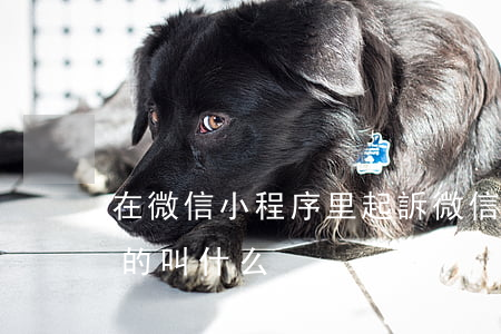 在微信小程序里起訴(微信小程序里起訴離婚的叫什么)