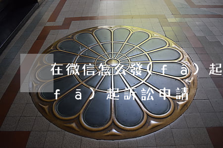 在微信怎么發(fā)起訴訟(微信怎么發(fā)起訴訟申請)