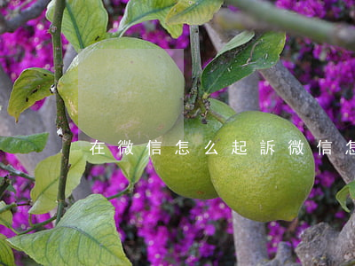在微信怎么起訴(微信怎么起訴借錢不還)