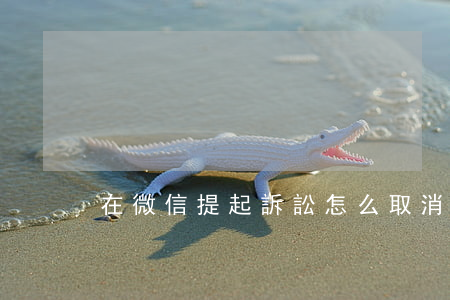 在微信提起訴訟怎么取消(微信起訴流程圖解)