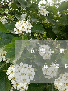 在微信群里發(fā)了紅包怎么申請起訴-在微信群里發(fā)了紅包怎么申請起訴對方