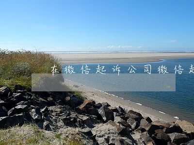 在微信起诉公司(微信起诉流程图解)