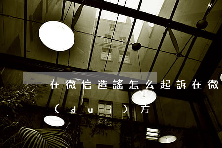 在微信造謠怎么起訴(在微信造謠怎么起訴對(duì)方)