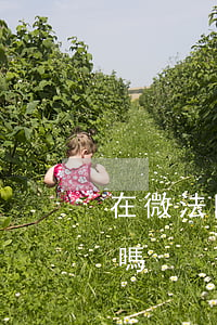 在微法院上可以撤訴嗎(開庭后撤訴還能上訴嗎)