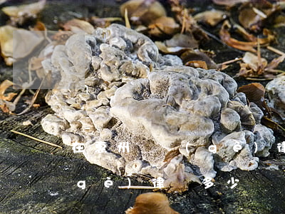 在惠州請個(gè)律師需要多少錢(請個(gè)律師多少錢?)