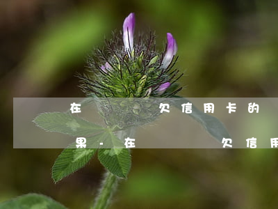 在愛爾蘭欠信用卡的錢會(huì)什么后果-在愛爾蘭欠信用卡的錢會(huì)什么后果呢