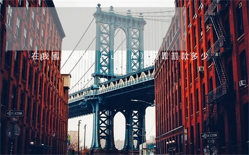 在我國污染環(huán)境罪罰款多少