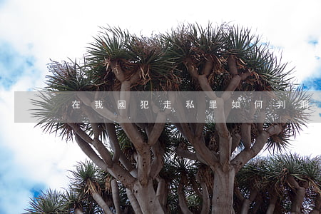 在我國犯走私罪如何判刑？