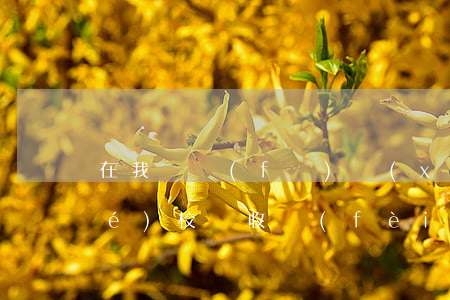 在我國發(fā)現(xiàn)學(xué)校亂收費(fèi)怎么處理（擇校費(fèi)的規(guī)定）