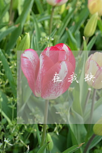 在我缺席情况下法院可以判吗(缺席怎么判决)